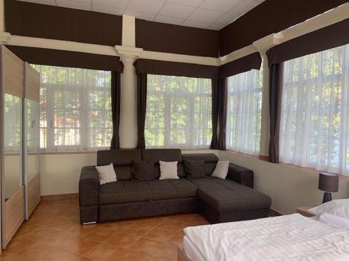 巴拉顿城堡BF酒店 的一间带沙发的客厅,位于带窗户的房间