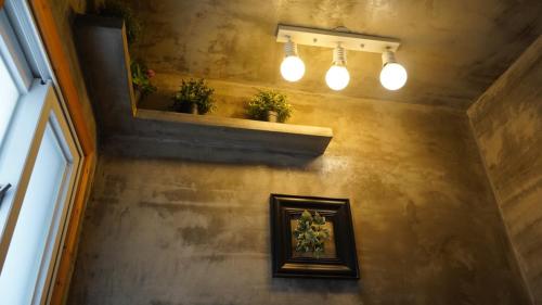 济州市Hannahstay Women Only Guesthouse的墙上有两株盆栽植物的房间,有灯