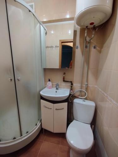 克洛佩夫尼茨基Жилье в Кропивницком的浴室配有卫生间、盥洗盆和淋浴。
