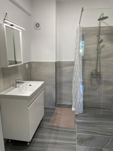 古拉哈莫卢洛伊Apartament - Housing21的一间带水槽和淋浴的浴室