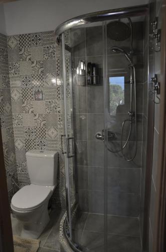 约阿尼纳Persefoni's Home的一间带卫生间和玻璃淋浴间的浴室