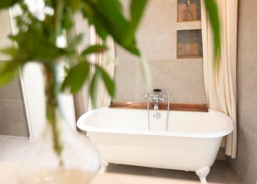AmpusAuberge des braconniers的带浴缸的浴室