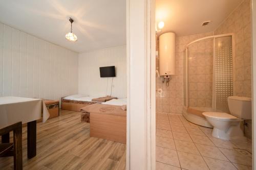 米兹多洛杰OW格罗马达波德托坡拉米山林小屋的带淋浴、卫生间和浴缸的浴室