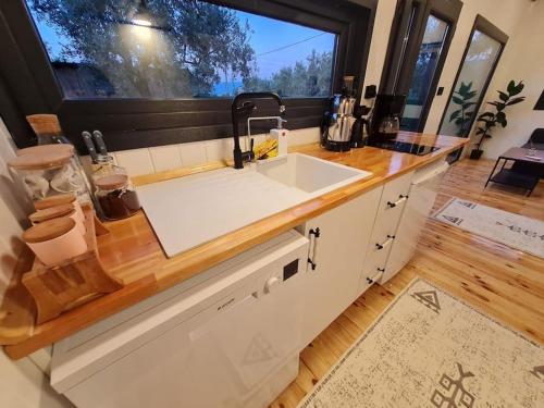 İznikAntik Tiny House的带水槽的厨房台面和窗户