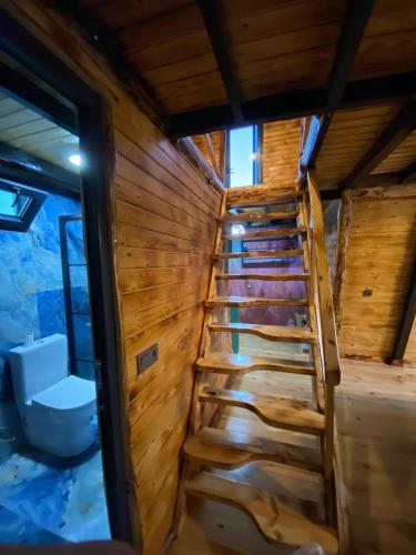 İznikBungalow In Iznik的一个带卫生间的桑拿浴室的楼梯