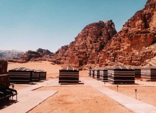 瓦迪拉姆Wadi rum Rozana camp的一群在沙漠中长着长椅的山间