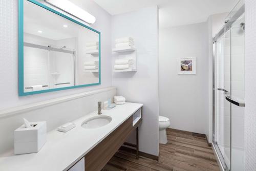 桥景镇Hampton Inn & Suites Bridgeview Chicago, Il的一间带水槽、镜子和卫生间的浴室