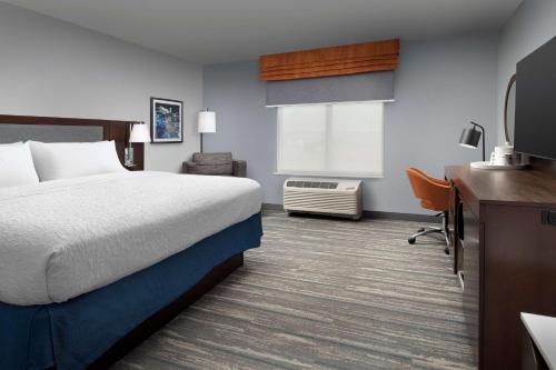 拉皮德城Hampton Inn & Suites Rapid City Rushmore, SD的酒店客房配有一张床、一张书桌和一台电视。