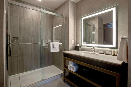 罗克福德Embassy Suites By Hilton Rockford Riverfront的带淋浴、盥洗盆和镜子的浴室