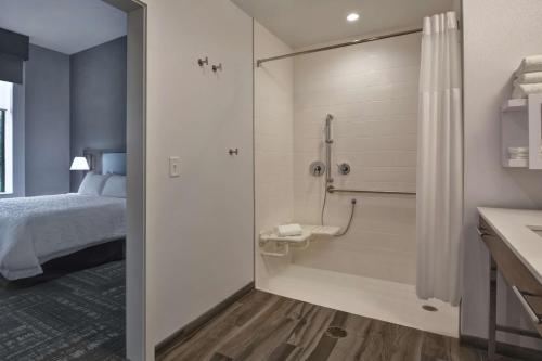坦帕Hampton Inn & Suites Tampa Riverview的带淋浴、床和浴缸的浴室