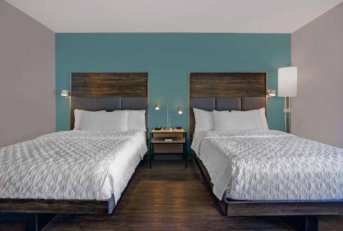 诺克斯维尔Tru By Hilton Knoxville West Turkey Creek的蓝色墙壁客房的两张床