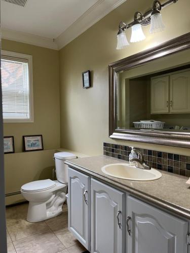 夏洛特顿Xinglin house的一间带卫生间、水槽和镜子的浴室