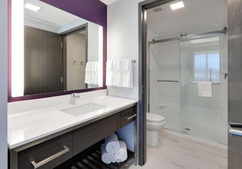 森林湖Homewood Suites By Hilton Irvine Spectrum Lake Forest的一间带水槽、卫生间和镜子的浴室
