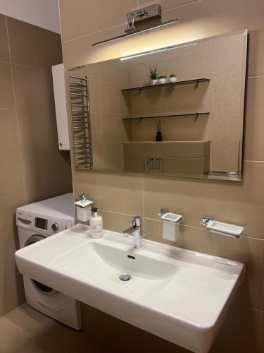 德鲁斯基宁凯Sausoji Apartment的浴室设有白色水槽和镜子