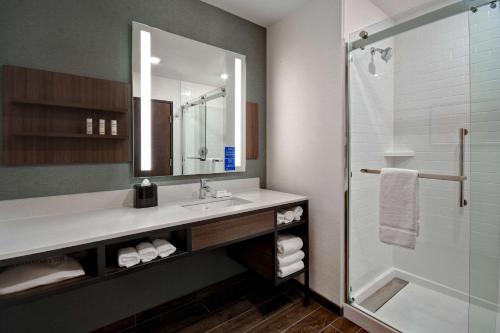 卡拉马祖Hilton Garden Inn Kalamazoo Downtown的一间带水槽和淋浴的浴室