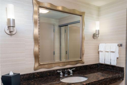 汉诺瓦巴尔的摩希尔顿惠庭套房酒店 - 阿伦德尔·米尔斯的一间带水槽和大镜子的浴室