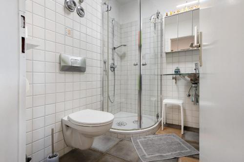 格拉芬豪森Ado Ferienwohnung的带淋浴、卫生间和盥洗盆的浴室