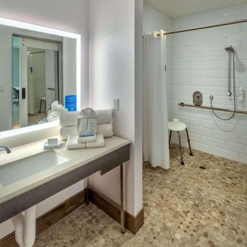南太浩湖Hampton Inn & Suites South Lake Tahoe的一间带水槽、镜子和淋浴的浴室