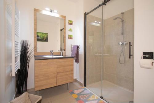 谢西LE JARDIN DES POMMIERS A DISNEYLAND CHESSY的一间带水槽和淋浴的浴室