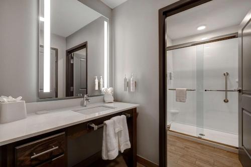 橡树溪Homewood Suites By Hilton Oak Creek Milwaukee的浴室配有盥洗盆和带镜子的淋浴