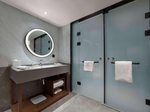 拉萨拉萨天峰希尔顿花园酒店的浴室配有盥洗盆和带镜子的淋浴