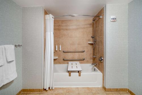 萨利达Hampton Inn & Suites Salida, CO的浴室配有浴缸、淋浴和水槽