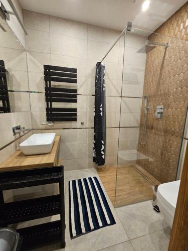 波兰尼卡-兹德鲁伊Villa Alexandra的带淋浴、盥洗盆和卫生间的浴室