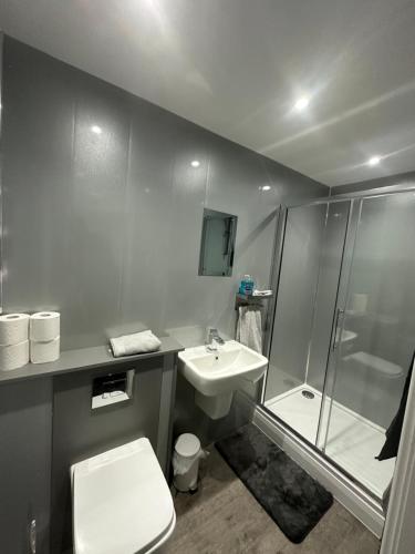 蒂诗上的索纳比Royal Apartments的浴室配有卫生间、盥洗盆和淋浴。