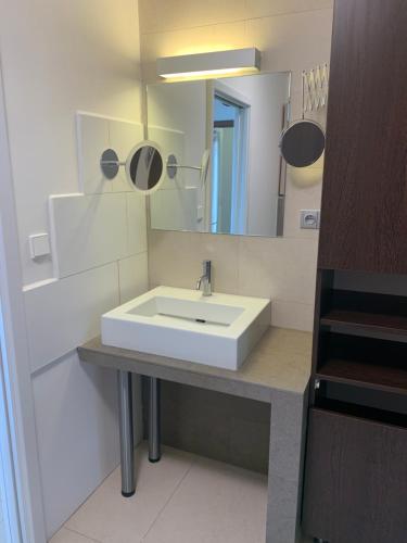 ČerčanyApartmán s wellness službami的浴室设有白色水槽和镜子