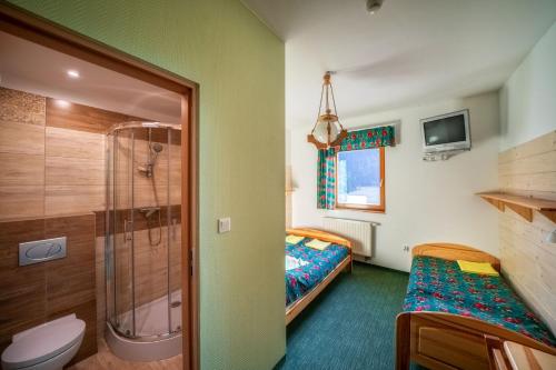 扎科帕内戈斯基卡拉托韦酒店的带淋浴、床和卫生间的浴室