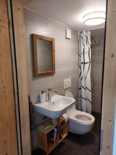 La Chaux-du-MilieuDrosera cabane et roulotte的一间带水槽、卫生间和镜子的浴室