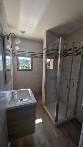 GinasservisLA BERGERIE PROVENCALE的一间带水槽和淋浴的浴室
