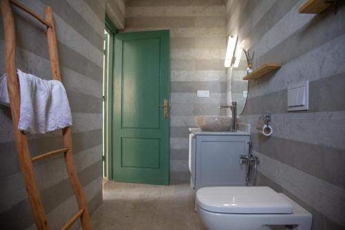 索维拉WINK house : Charme et Sérénité的一间带卫生间和绿门的浴室
