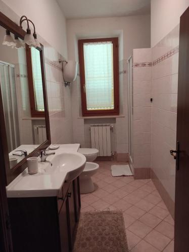 卡斯特姆苏Il Colombaiolo的一间带水槽、卫生间和淋浴的浴室