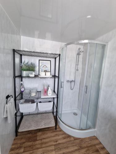 安特里姆Firbog Nook的带淋浴的浴室和玻璃淋浴间
