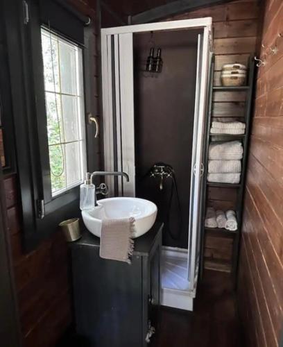 圣雷米普罗旺斯Roulotte / Tiny House dans les Alpilles的一间带白色水槽和窗户的浴室
