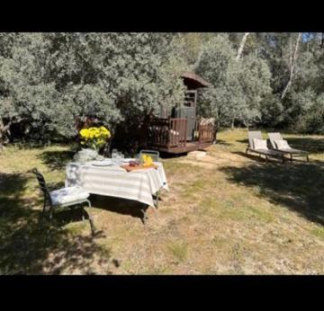圣雷米普罗旺斯Roulotte / Tiny House dans les Alpilles的院子里的一张野餐桌和两个长椅
