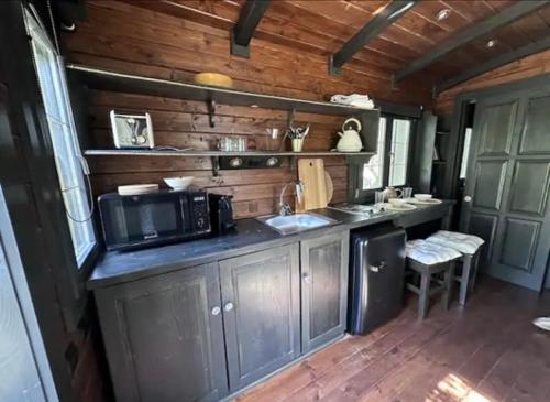 圣雷米普罗旺斯Roulotte / Tiny House dans les Alpilles的一间厨房,内配微波炉和水槽