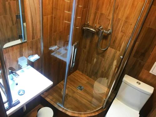 斯基希德尼萨Рудий Лис的带淋浴、卫生间和盥洗盆的浴室