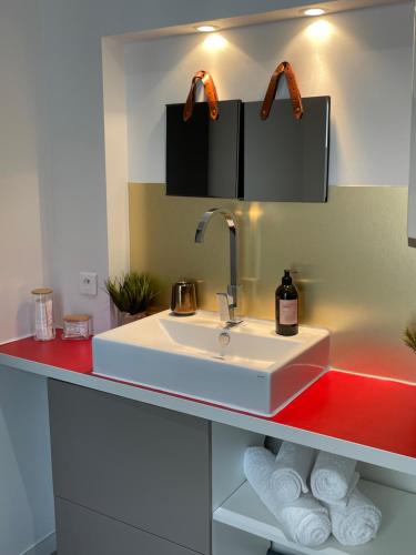 图卢兹Appartement climatisé avec balcon et parking privé的一间带水槽和红色柜台的浴室