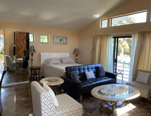圣莫尼卡Large Luxury Studio with View in Santa Monica的一间卧室配有一张床、一张沙发和一张桌子