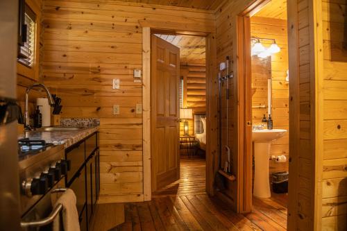 帕戈萨斯普林斯High Creek Lodge and Cabins的木制浴室设有水槽和卫生间
