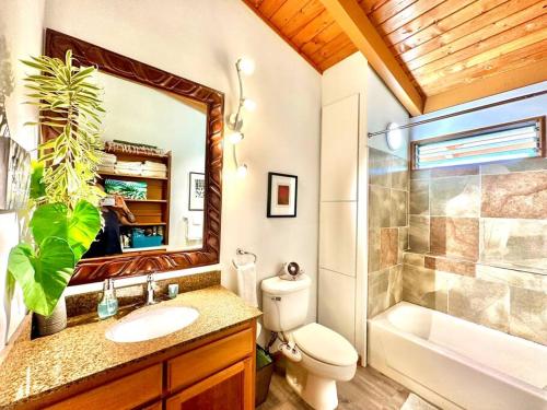 凯阿奥Home near Volcano National Park, Hilo, Kehena的一间带卫生间、水槽和镜子的浴室