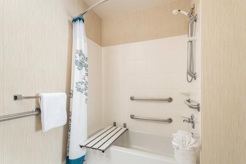 马纳萨斯马纳萨斯战场公园公寓酒店的带浴缸、卫生间和淋浴的浴室。