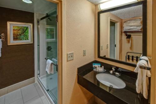 南海文孟菲斯南海文费尔菲尔套房酒店的一间带水槽、淋浴和镜子的浴室