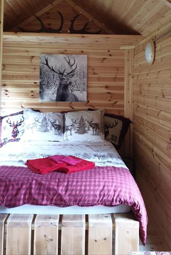 DarneyWhite wood tiny house的小木屋内一间卧室,配有一张床