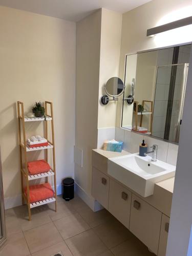 达尔文Mauna Loa Apartment的一间带水槽和镜子的浴室