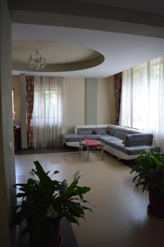 Cornu de Jos安瑞多旅馆的客厅配有沙发和桌子