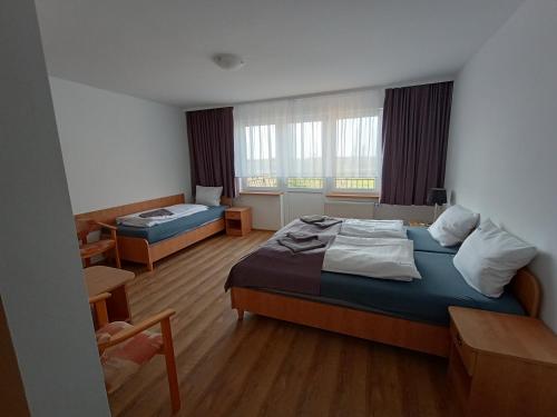 里沃Dom Wczasowy Larix的配有一张床和一张书桌的酒店客房
