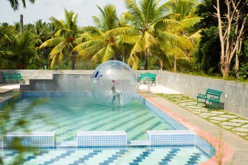 哥印拜陀Ibex River Resort, Pollachi的游泳池里的一个球的人